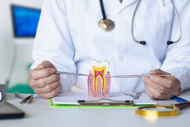 Best After-Hours Dental Care in Ennis, TX